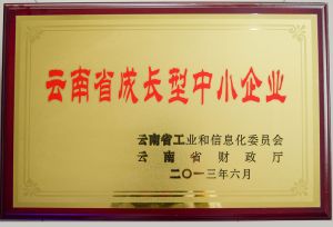 云南省成长型中小型企业