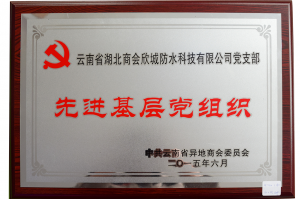 Hubei Chamber of Commerce Xincheng Waterproof Technology Co., Ltd. in Yunnan Province advanced grassroots party organization of the party branch