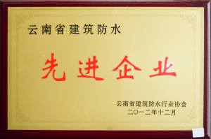 Advanced enterprise of building waterproofing in Yunnan Province